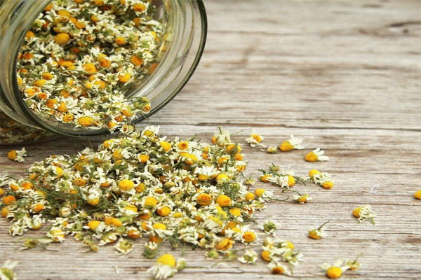 Chamomile Flower