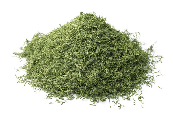 Dill Leaves